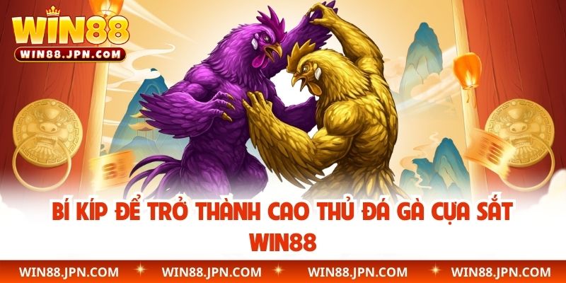 Bí kíp để trở thành cao thủ đá gà cựa sắt WIN88