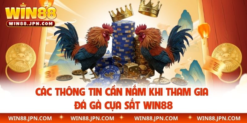 Các thông tin cần nắm khi tham gia đá gà cựa sắt WIN88