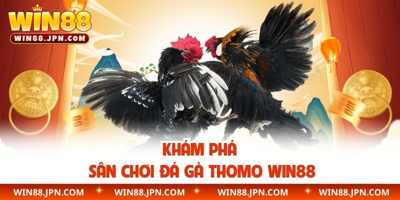 Khám phá sân chơi đá gà Thomo WIN88