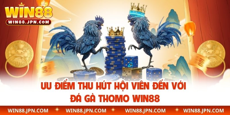 Ưu điểm thu hút hội viên đến với đá gà Thomo WIN88